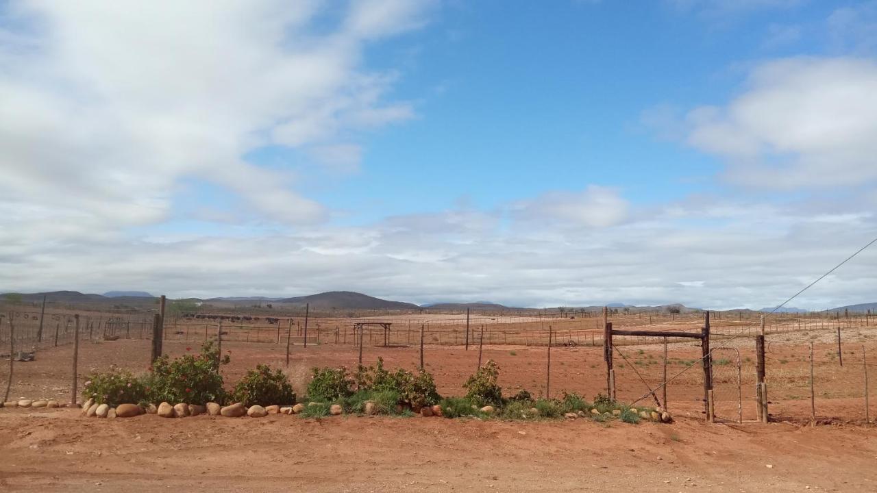 Pureplaas Self Catering Volmoed Oudtshoorn Klein Karoo Apartamento Exterior foto