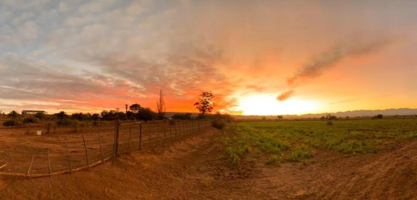 Pureplaas Self Catering Volmoed Oudtshoorn Klein Karoo Apartamento Exterior foto
