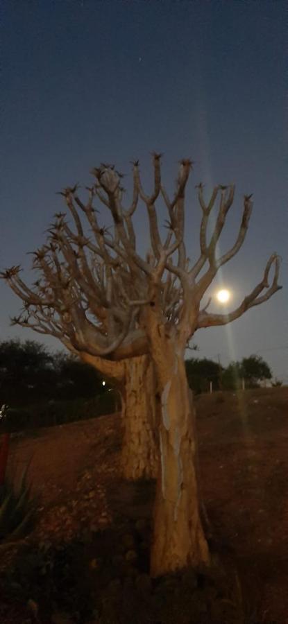 Pureplaas Self Catering Volmoed Oudtshoorn Klein Karoo Apartamento Exterior foto
