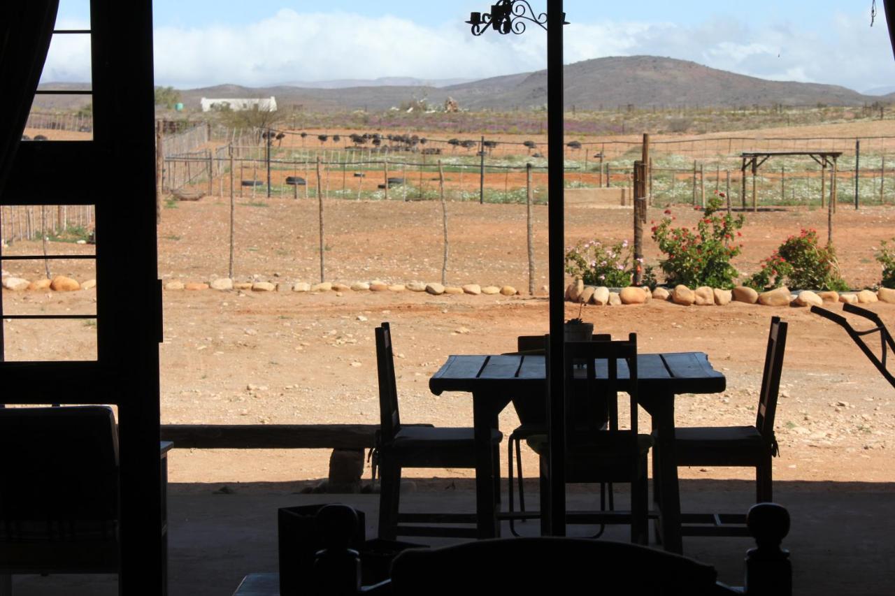 Pureplaas Self Catering Volmoed Oudtshoorn Klein Karoo Apartamento Exterior foto